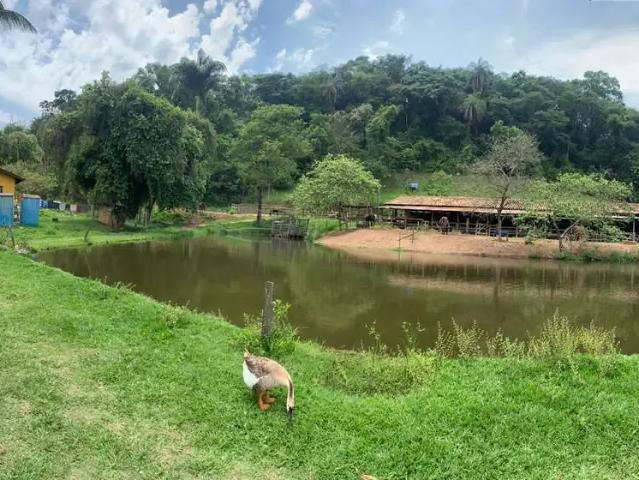 Fazenda venda em Região Geográfica Imediata de Belo Horizonte, Região Metropolitana de Belo Horizonte
