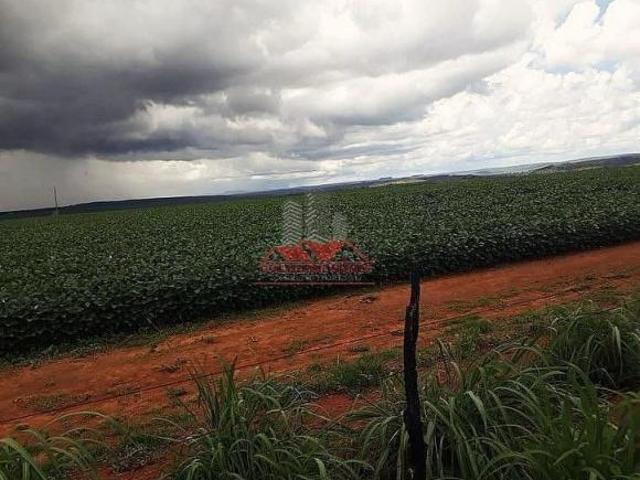 Sítio e chácara venda em Região Geográfica Imediata de Águas Lindas de Goiás, Região Integrada de Desenvolvimento do Distrito Federal e Entorno