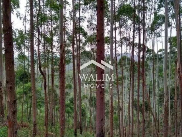 Fazenda venda em Região Geográfica Imediata de Belo Horizonte, Região Metropolitana de Belo Horizonte