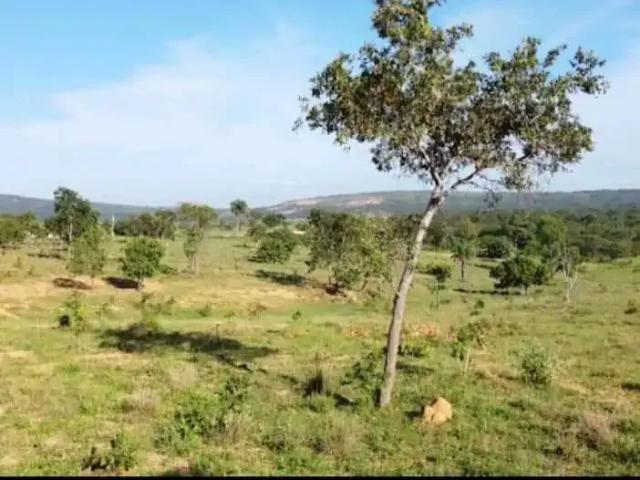Fazenda venda em Região Geográfica Imediata de Abaeté, Biquinhas
