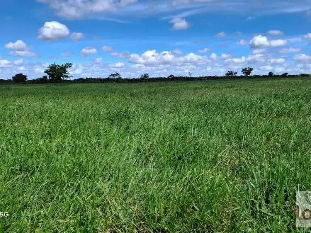 Fazenda venda em Biritinga, Região Nordeste