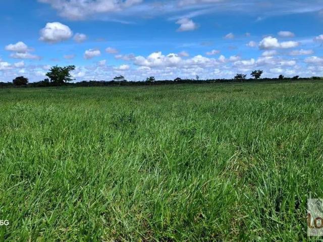 Fazenda venda em Biritinga, Região Geográfica Intermediária de Feira de Santana