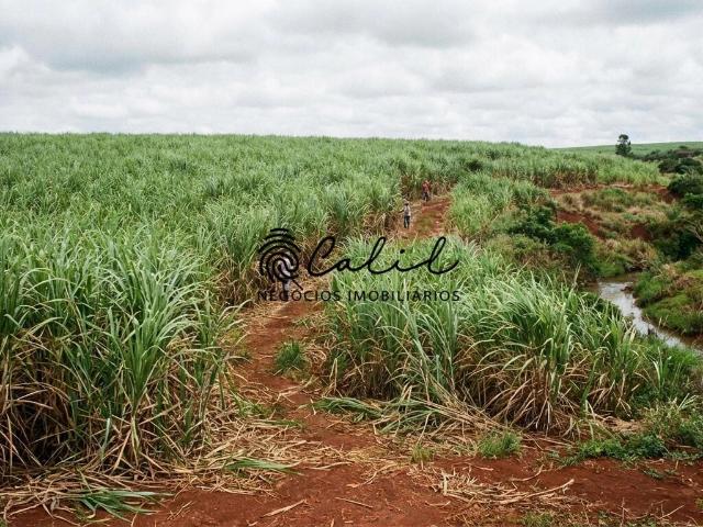 Fazenda venda em Boa Esperança do Sul
