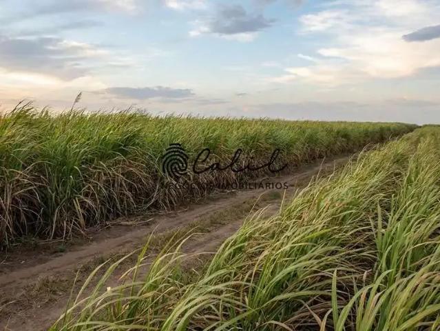 Fazenda venda em Região Imediata de Araraquara, Boa Esperança do Sul
