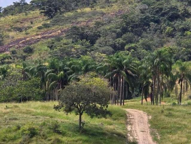 Fazenda venda em Região Geográfica Imediata de Três Pontas - Boa Esperança, Boa Esperança
