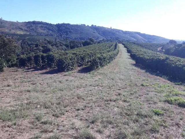 Fazenda venda em Região Geográfica Imediata do Distrito Federal, Região Integrada de Desenvolvimento do Distrito Federal e Entorno