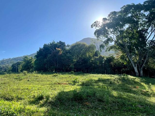 Fazenda venda em Boa Nova, Boa Nova