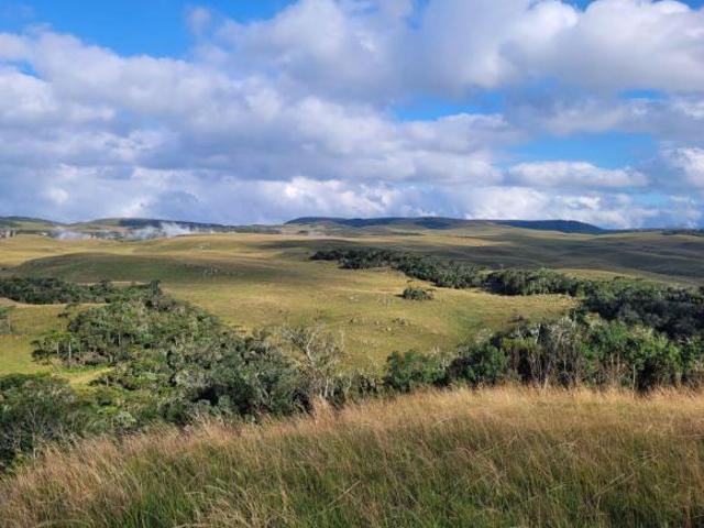 Sítio e chácara venda em Região Geográfica Imediata de Caxias do Sul, Cambara do Sul