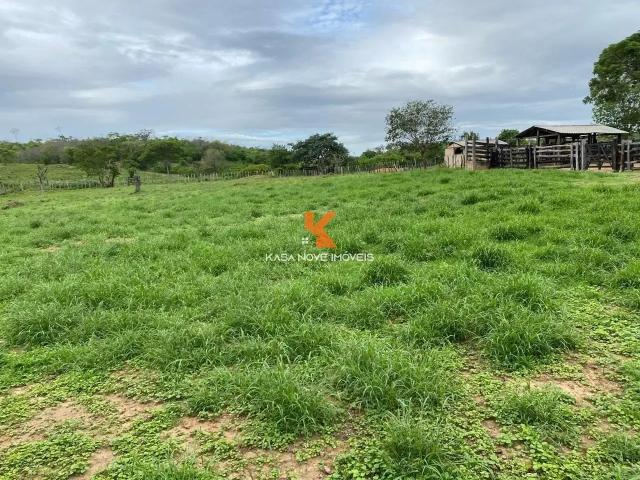 Fazenda venda em Boa Vista do Tupim, Região Geográfica Intermediária de Feira de Santana