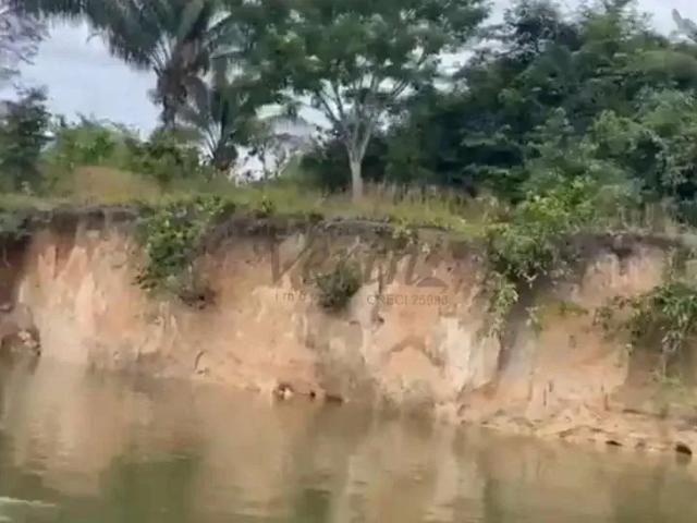 Fazenda venda em Região Geográfica Imediata de Boa Vista, Boa Vista