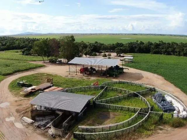 Fazenda venda em Região Geográfica Imediata de Boa Vista, Boa Vista