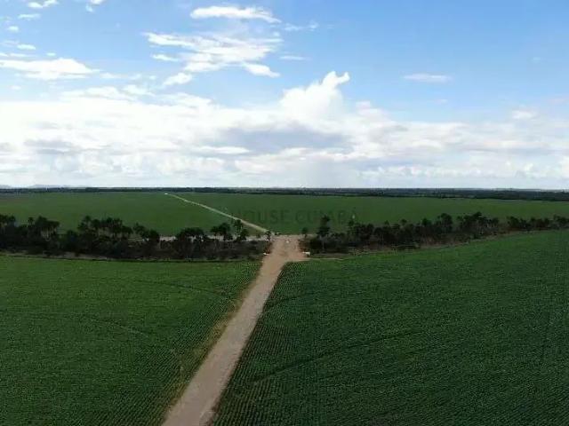 Fazenda venda em Região Geográfica Imediata de Boa Vista, Boa Vista