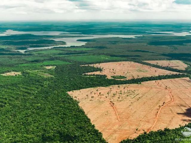 Fazenda venda em Região Geográfica Imediata de Boa Vista, Boa Vista