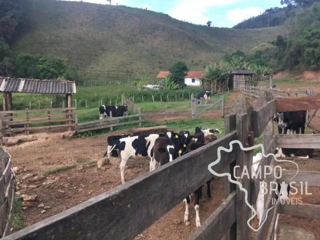 Fazenda venda em Região Geográfica Imediata de Juiz de Fora, Bocaina de Minas