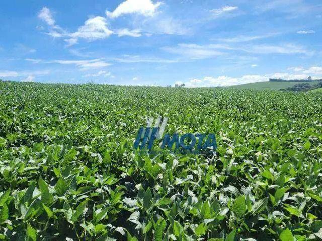 Fazenda venda em Região Geográfica Imediata de Curitiba, Região Metropolitana de Curitiba