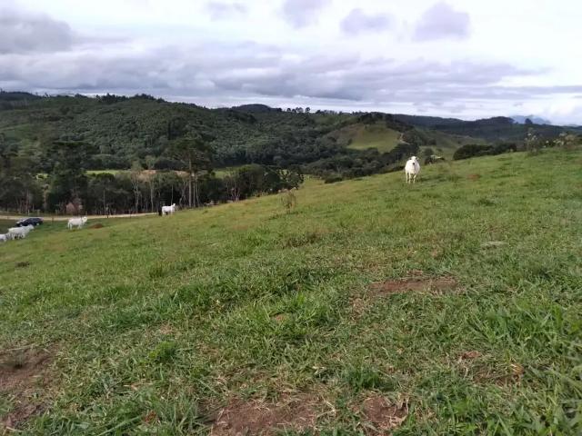 Fazenda venda em Região Geográfica Imediata de Curitiba, Região Metropolitana de Curitiba