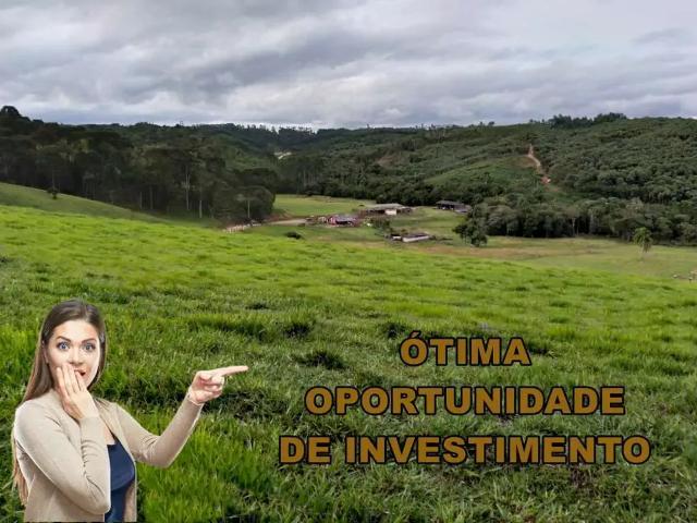 Fazenda venda em Região Geográfica Imediata de Curitiba, Região Metropolitana de Curitiba