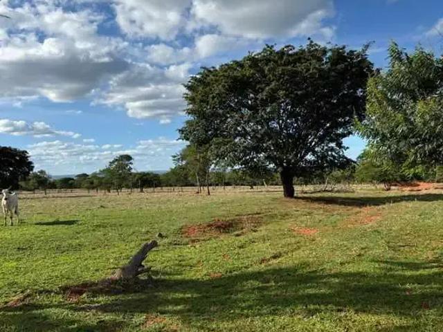 Fazenda venda em Região Geográfica Imediata de Montes Claros, Bocaiúva