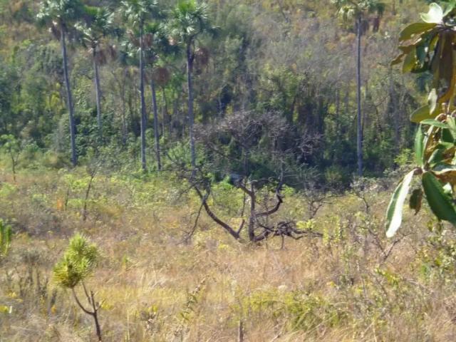 Fazenda venda em Região Geográfica Imediata de Montes Claros, Bocaiúva