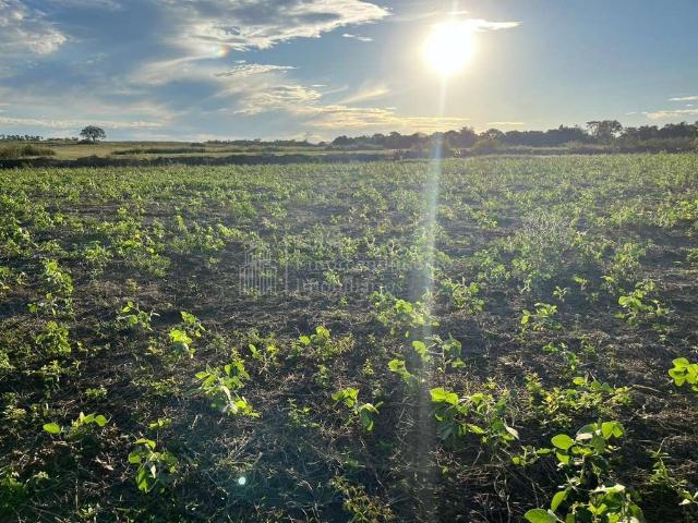 Fazenda venda em Bodoquena, Vila Campão