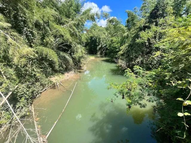 Fazenda venda em Região Geográfica Imediata de Aquidauana - Anastácio, Bodoquena