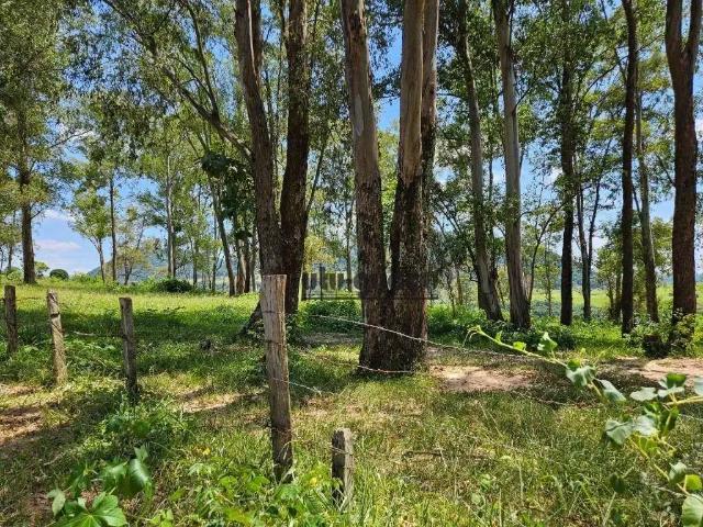 Fazenda venda em Região Imediata de Botucatu, Bofete