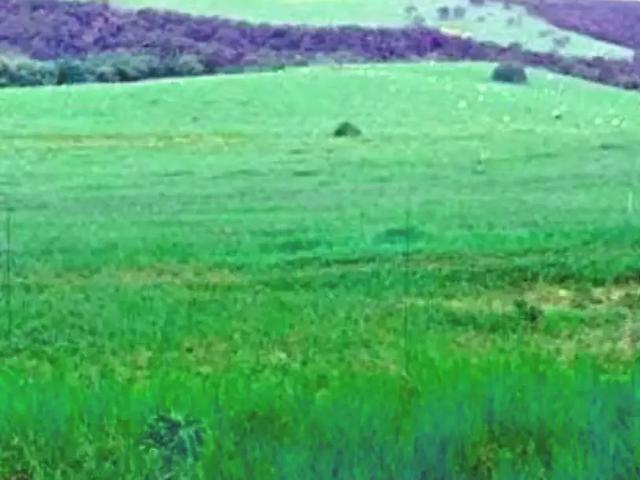 Fazenda venda em Região Imediata de Botucatu, Bofete