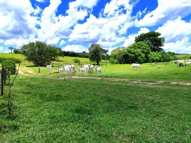 Fazenda venda em Região Imediata de Botucatu, Bofete