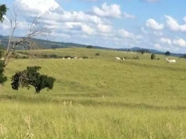 Fazenda venda em Região Imediata de Campinas, Região Metropolitana de Campinas