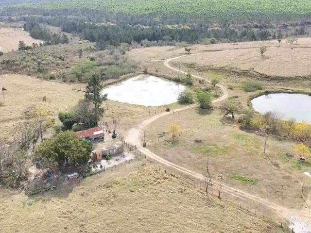 Fazenda venda em Região Imediata de Botucatu, Bofete