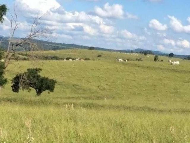Fazenda venda em Região Imediata de Campinas, Região Metropolitana de Campinas