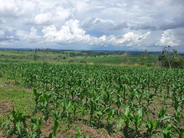 Fazenda venda em Região Imediata de Campinas, Região Metropolitana de Campinas