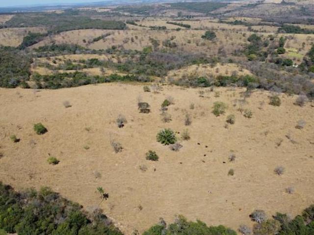 Sítio e chácara venda em Região Geográfica Imediata de Dores do Indaiá, Bom despacho