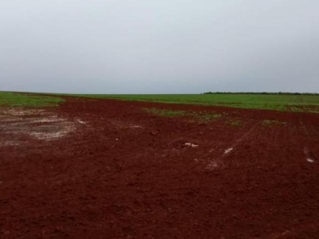Sítio e chácara venda em Região Geográfica Imediata de Dores do Indaiá, Bom despacho