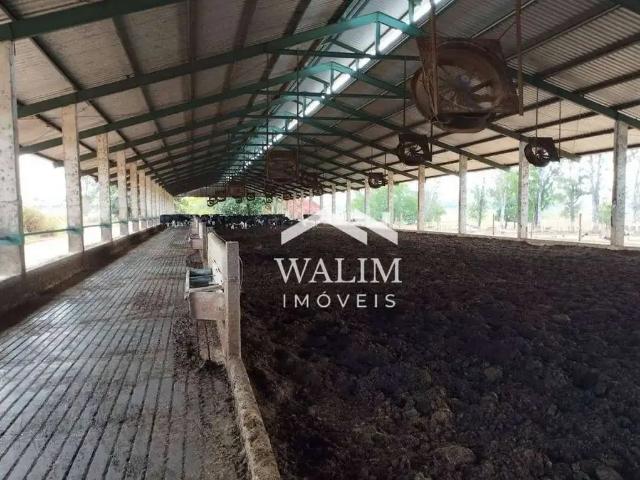 Fazenda venda em Região Geográfica Imediata de Dores do Indaiá, Bom despacho