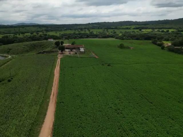 Fazenda venda em Região Geográfica Imediata de Dores do Indaiá, Bom despacho