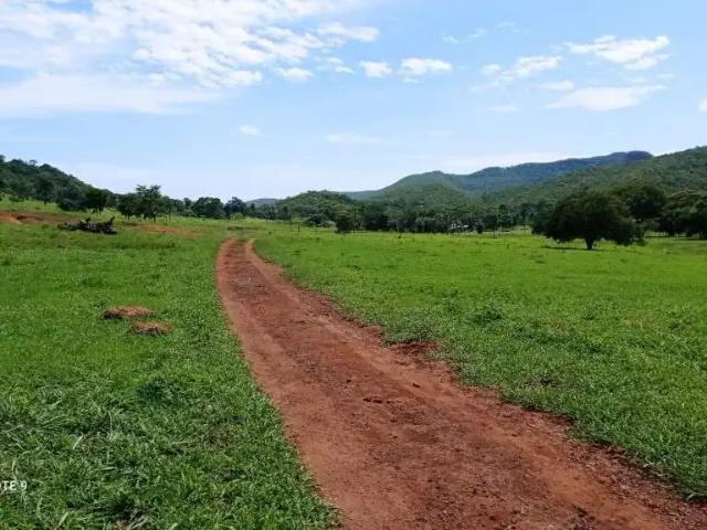 Fazenda venda em Região Geográfica Imediata de Iporá, Bom Jardim de Goiás