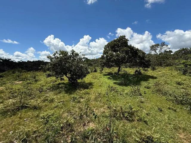 Fazenda venda em Região Geográfica Imediata de Iporá, Bom Jardim de Goiás