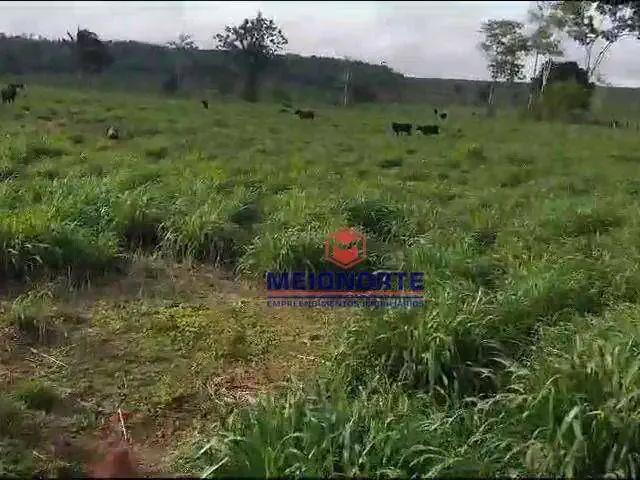 Fazenda venda em Bom Jesus das Selvas, Região Nordeste
