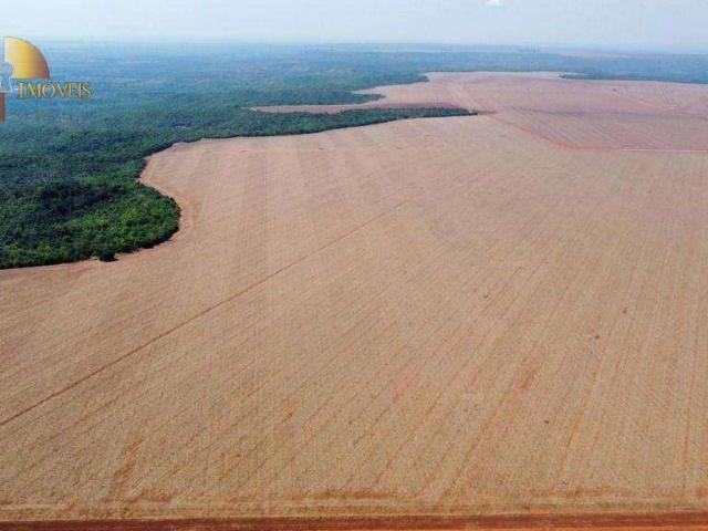Fazenda venda em Bom Jesus do Araguaia, Região Geográfica Intermediária de Barra do Garças