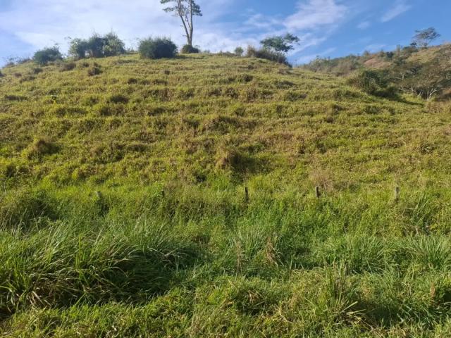 Fazenda venda em Santa Maria Madalena, Região Geográfica Intermediária de Petrópolis