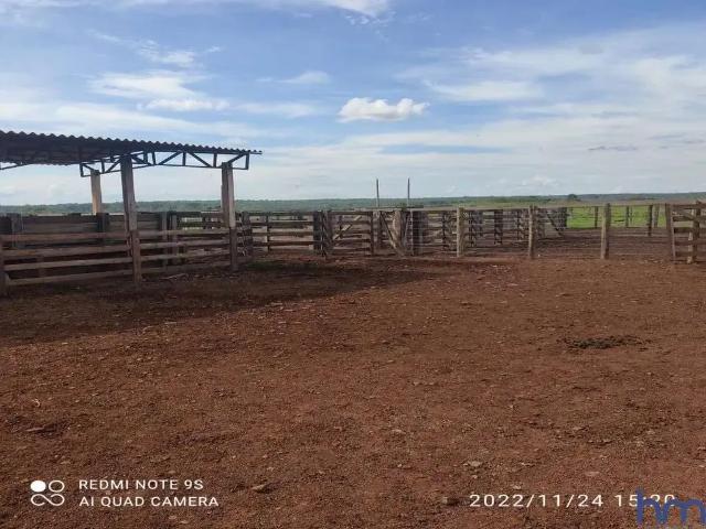 Fazenda venda em Região Geográfica Imediata de Guaraí, Bom Jesus do Tocantins