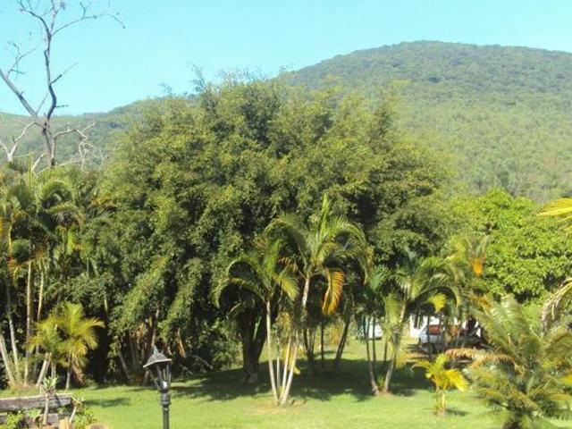 Sítio e chácara venda em Região Imediata de Bragança Paulista, Bom Jesus dos Perdões