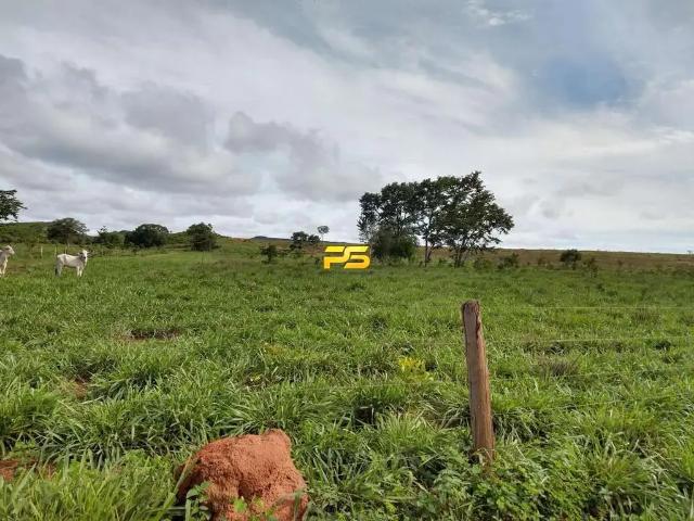 Fazenda venda em Bom Jesus, Região Nordeste