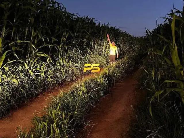 Fazenda venda em Bom Jesus, Região Nordeste