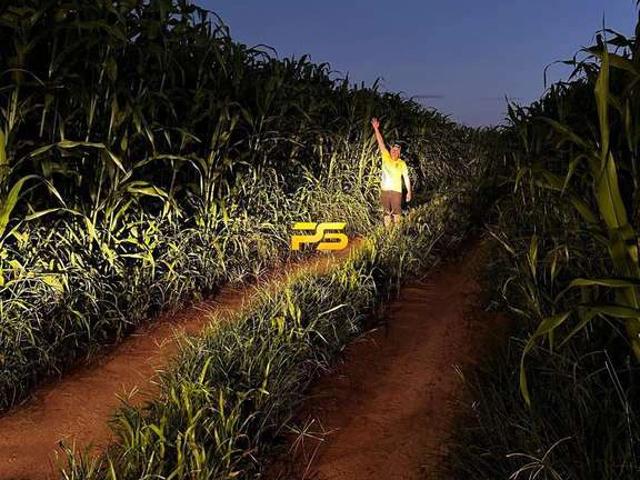 Fazenda venda em Bom Jesus, Região Geográfica Intermediária de Corrente-Bom Jesus