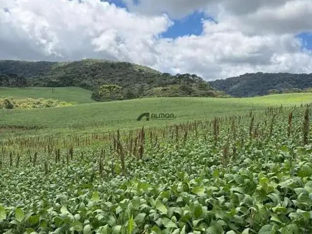 Fazenda venda em Região Geográfica Imediata de Lages, Bom Retiro