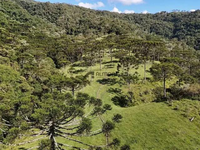 Fazenda venda em Região Geográfica Imediata de Lages, Bom Retiro