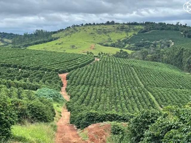 Fazenda venda em Região Geográfica Imediata de Lavras, Bom Sucesso