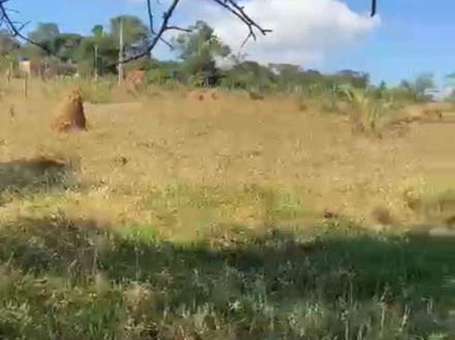 Fazenda venda em Centro, Bonfim